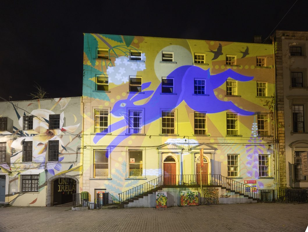 City of Lights building illumination design of purple hare jumping over early Spring meadow to symbolise Imbolc. Design by artist Karen Nolan projected onto facade of Old Presbytery Building.